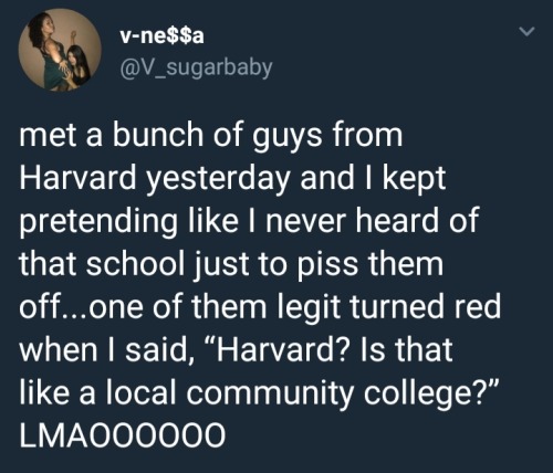 babbleismysuperpower: inthisquarter: whitepeopletwitter: Harvard? Never heard of her Want a more sub