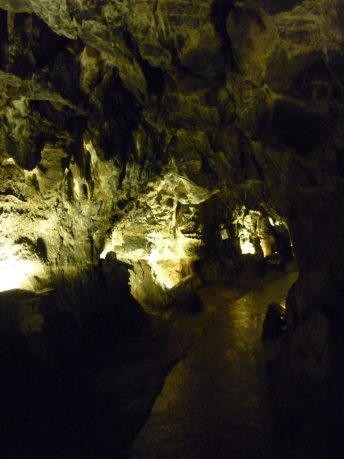 Underground at Dan-yr-Ogof, September 2014 can you spot the angel?