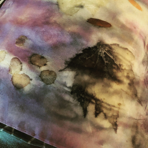 Playing around with eco printing on silk chiffon and silk charmeuse. Died the silk with logwood firs