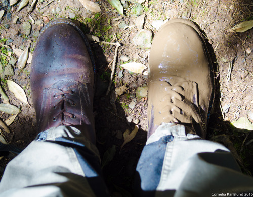 Yeah yeah, I know no one likes vacation pics, but Madeira is a beautiful place with an incredible amount of biodiversity! Also, mud.