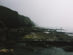 laadyyblue:  Went on a nice adventure today with my boy &amp; a lovely new friend!🐚