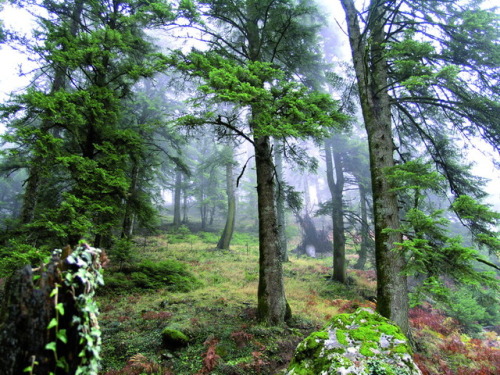 Prefecture of Arta, Epirus, Greece