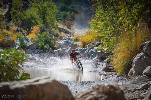 bttlobo:#mtb #bike #btt #fun