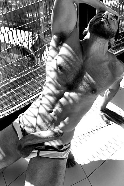 Mustachenmuscles