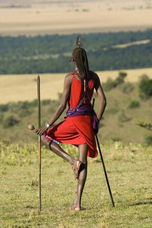 Maasai are a Nilotic ethnic group inhabiting northern, central and southern Kenya and northern Tanza
