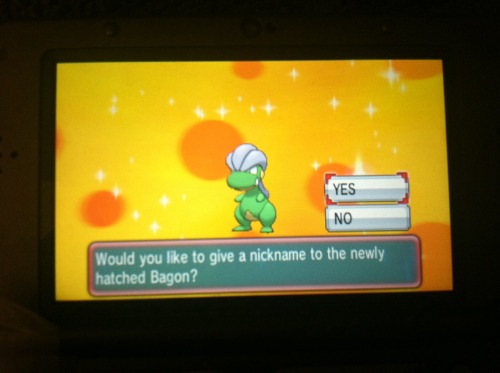So late last night I hatched this green bagel&hellip; Bagon. Sooo as you can see it has good sta