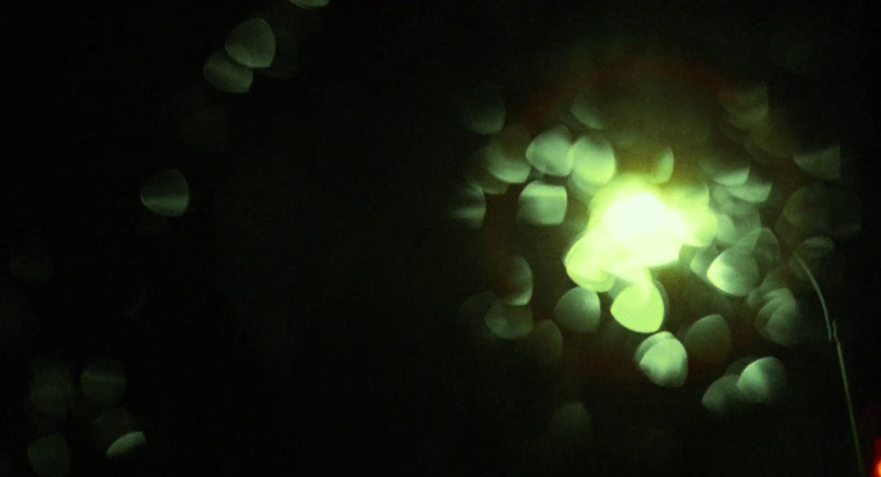 mydarktv:  Human by Gaslight