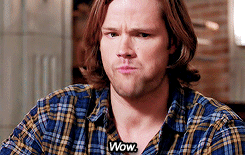 dean-has-a-bacon-kink:  bloodysigils-deactivated2019021: spn + favourite sam and