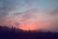 Randy-P-Martin: Denali, Alaksa Usa Follow Me On Flickr - Instagram  I Miss Alaska