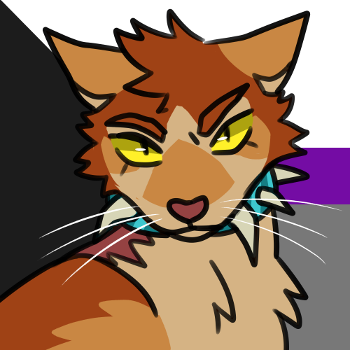 berrym00n:pride batch #7trans genderfluid tallstar, lesbian dovewing, nonbinary crookedstargay man t