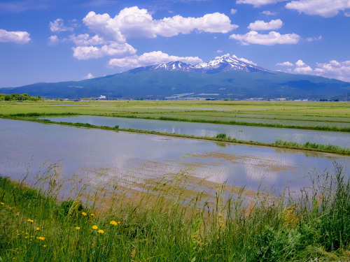 maruhi:鳥海山　Mt.Choki