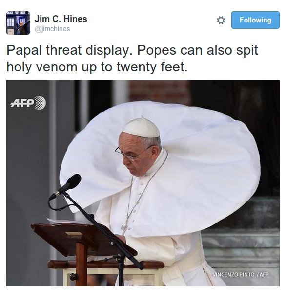 Papal threat display