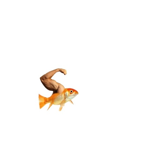 its-a-me-midknife:  i-am-a-fish:  this is my huggin arm  I have never felt so loved in my whole life.