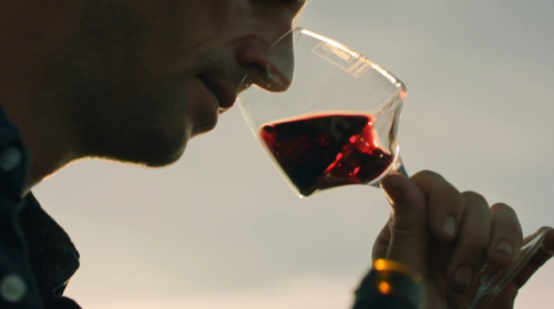 adow-trash: pleasereadmeok: I want to thank the director of ‘The Wine Show’ for knowing 