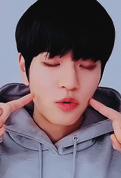 Seungmin’s Bday Vlive 🐶