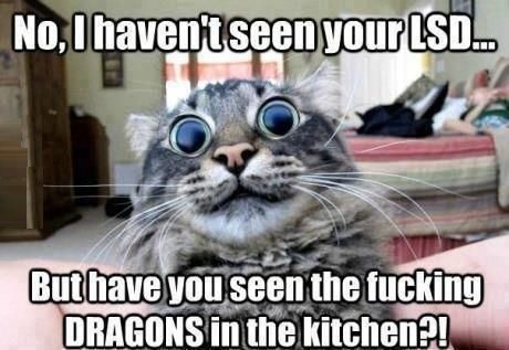 wannajoke:  Hooman, help