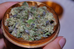 royallyoily:  Durple in the grinder