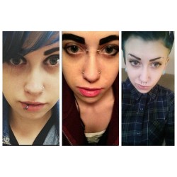 louppreine:  the evolution of eyebrows. the
