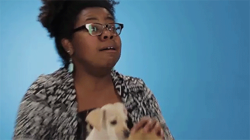 sizvideos:  Watch drunk people getting surprised by puppies 