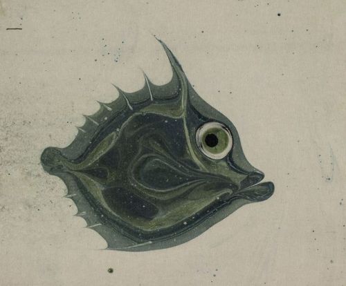 walzerjahrhundert: Leopold Stolba, Fisch, ca 1903 - 1906