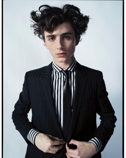 Timothée Chalamet, photographed by Tim Walker for W Magazine, Vol #9 2019.