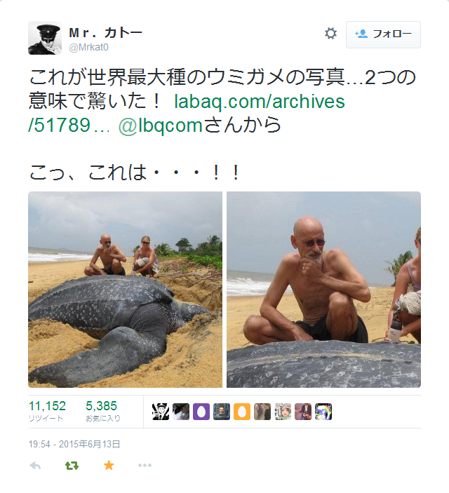 re-nise3kawan:  Mｒ．カトーさんはTwitterを使っています: “これが世界最大種のウミガメの写真…2つの意味で驚いた！