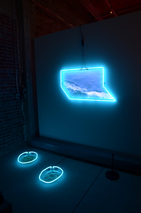 neon:Valerie ShusterovDeep Blues 2015Italian neon glass tubing filled with argon gas