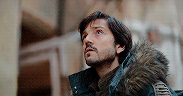 capitancassian:I’m beginning to think the Force and I have different priorities. [insp]
