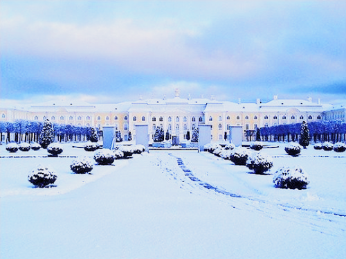 historyofromanovs: The Peterhof Palace, a palace complex near Saint Petersburg, Russia, built by Pet