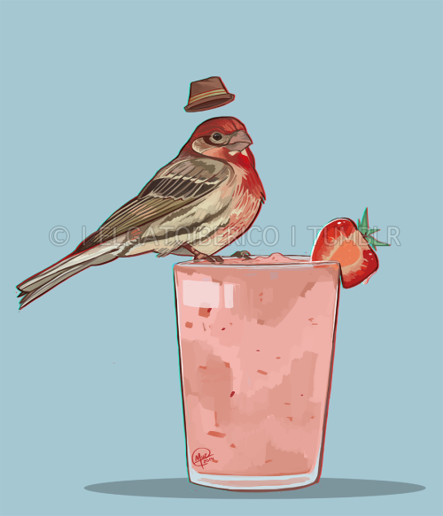 The next bird in the Beverage Passerines series, the (male) House Finch! :3It’s also available