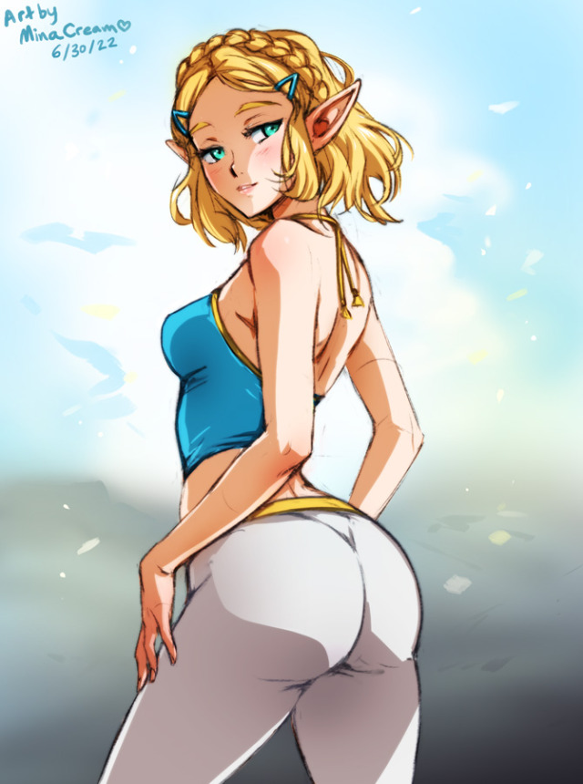 #871 Zelda (BOTW 2)Support me on Patreon