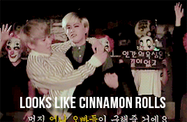 onlyblockb:Block B as cinnamon rolls - for anon ♥