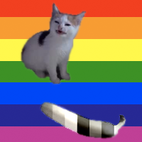 batmanissue455oct1990:  batmanissue455oct1990: cat no banana is a gay icon he represents gay pettiness and sticking to ones principles happy pride  the banana really ruins this post honestly lol