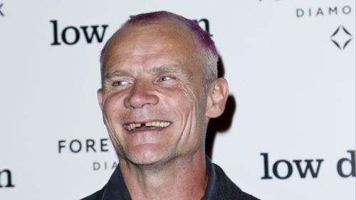 morefunthanb4: rollingstone: Red Hot Chili Peppers bassist Flea has become a full-fledged beekeeper 