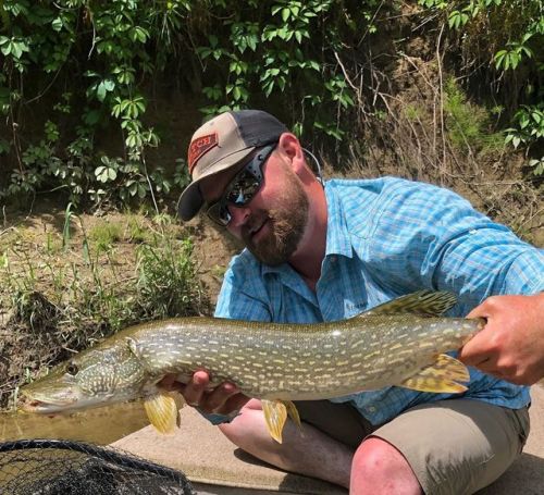 Cousins #fish #fishing #flyfishing #explore #predator #naturephotography #pawilds #northernpike #pik