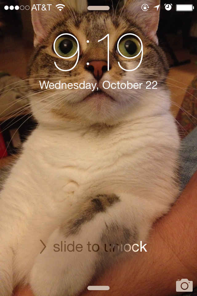awwww-cute:  My lock screen is purrfect for two minutes a day