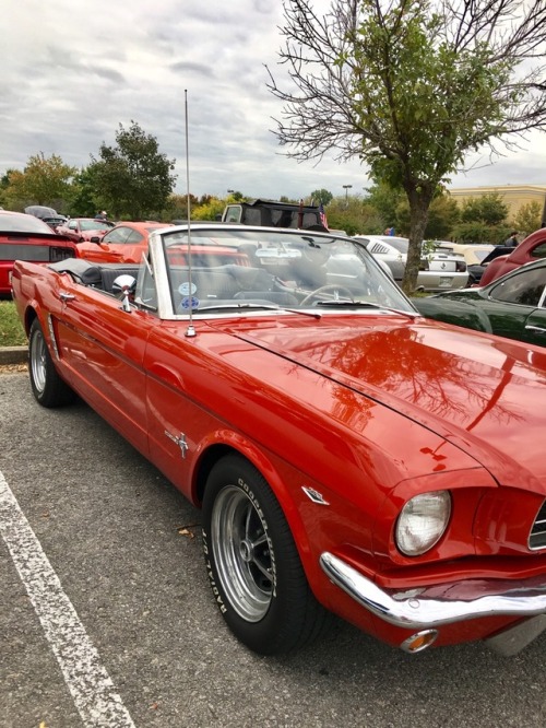 1965 ragtop Mustang with a 289 mated to a 4-speed. The factory rims and white letter tires are sharp