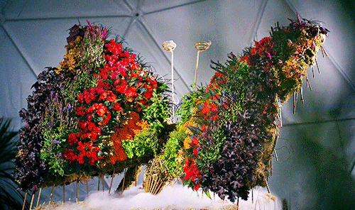 witch:Enormous floral insect sculptures in The Big Flower Fight (2020-)
