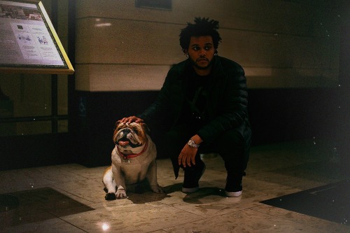 The Weeknd Every Weeknd