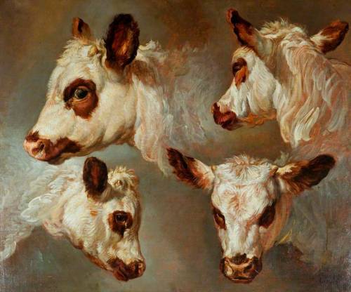 art-and-things-of-beauty:George Morland (1763-1804) - Studies of heads of cattle, oil on canvas, 63.