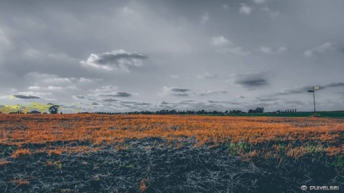 &lsquo;DROUGHT&rsquo; (July 8th) #ClimateChange #Weather #Temps #Climate #Climat #Drought #S
