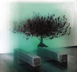 chat-oy-ant:  Three-Dimensional Trees Formed with Layers of Painted Glass, Ardan Özmenoğlu &ldquo;Using delicate materials like layers of glass or paper [the artist] redefines everyday objects in her visually complex sculptures. In these tree sculptures,