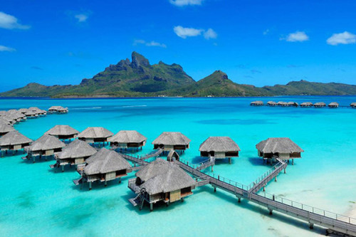flydealfare