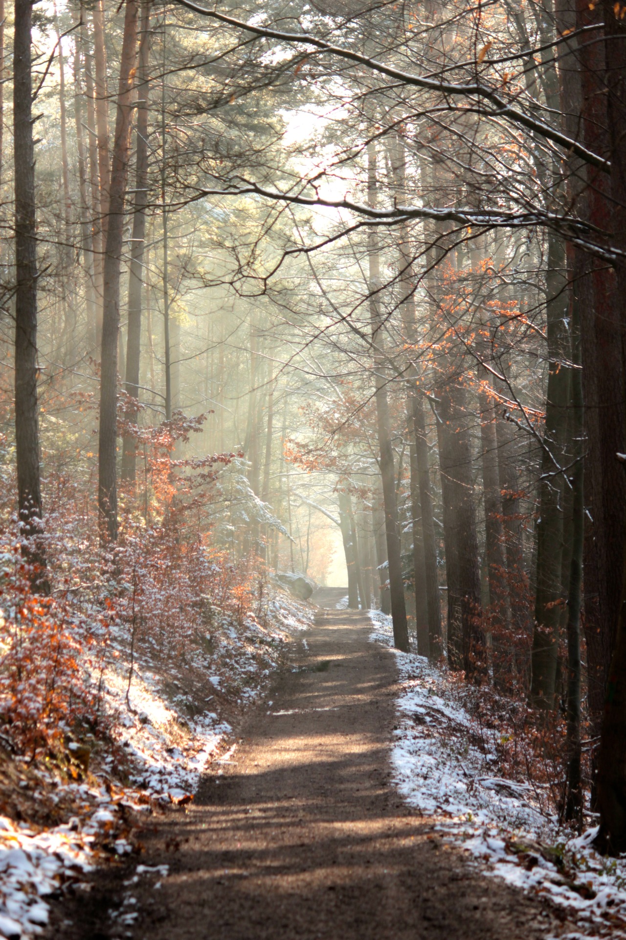 0rient-express:  Untitled | by Christian Gehrig.       