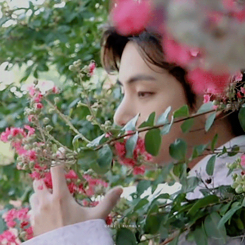 The Most Beautiful Flower