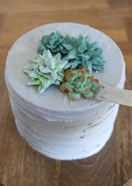 skauen: fleshcircus: sweetoothgirl: How to Make a Buttercream Succulent Cake Want @bernesemoun