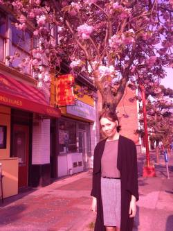 erynlou:  cherry blossoms! taken by em-muh