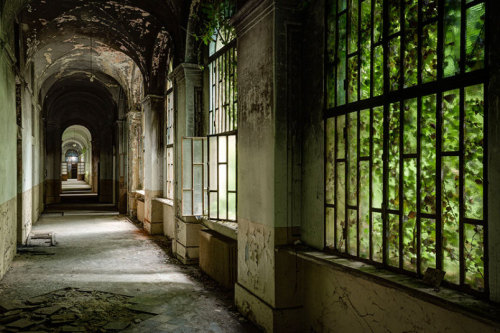 nevver:   The jails are full and the madhouses closed 