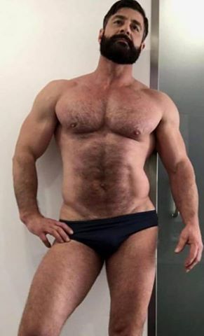 Hungry for Bears