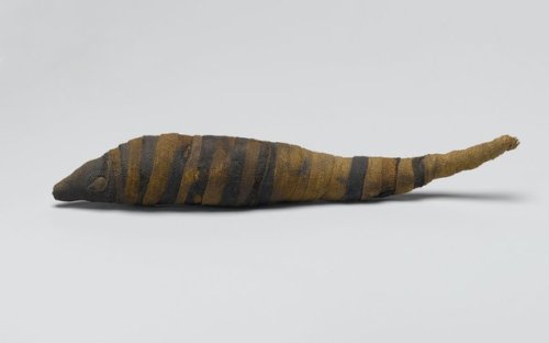 For those who couldn&rsquo;t guess last week&rsquo;s mystery animal mummy—the Egyptians venerated th